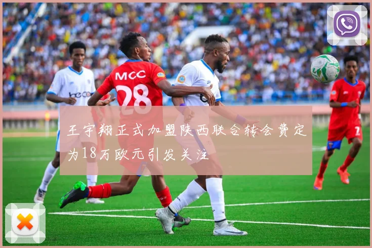 王宇翔正式加盟陕西联合转会费定为18万欧元引发关注